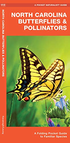 Beispielbild fr North Carolina Butterflies & Pollinators: A Folding Pocket Guide to Familiar Species (A Pocket Naturalist Guide) zum Verkauf von Buchpark