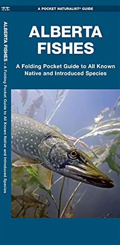 Beispielbild fr Alberta Fishes: A Folding Pocket Guide to All Known Native and Introduced Species (A Pocket Naturalist Guide) zum Verkauf von Buchpark