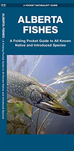 Imagen de archivo de Alberta Fishes: A Folding Pocket Guide to All Known Native and Introduced Species (A Pocket Naturalist Guide) a la venta por GF Books, Inc.