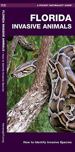 Stock image for Florida Invasive Animals: A Folding Pocket Guide to Familiar Animals for sale by BooksRun