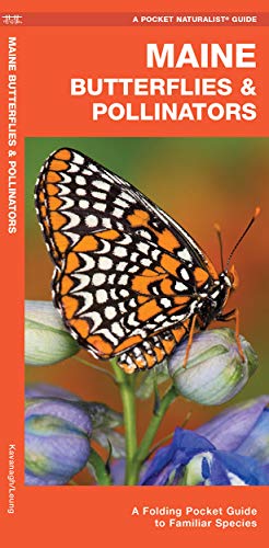 9781620054499: Maine Butterflies & Pollinators: A Folding Pocket Guide to Familiar Species (Pocket Naturalist Guide)