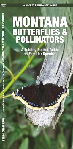 

Montana Butterflies & Pollinators: A Folding Pocket Guide to Familiar Species (Pocket Naturalist Guide)