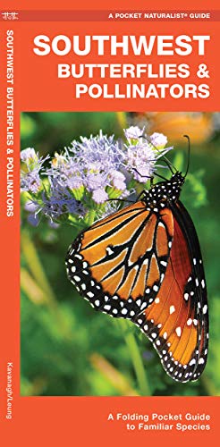 Stock image for Southwest Butterflies & Pollinators: A Folding Pocket Guide to Familiar Species (Pocket Naturalist Guide) for sale by BooksRun