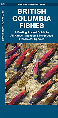 9781620054642: British Columbia Fishes: A Folding Pocket Guide to All Known Native and Introduced Freshwater Species