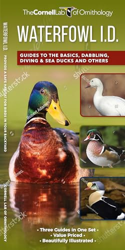 9781620055137: Waterfowl Id Set: A Complete Supplement to Indentify Waterfowl Based on Where's the White?