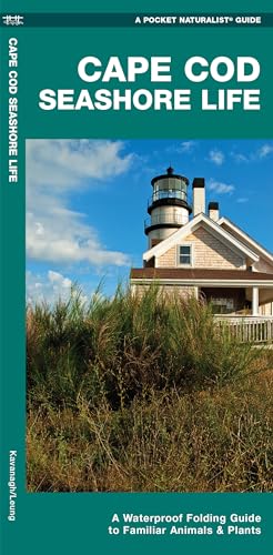 Beispielbild fr Cape Cod Seashore Life: A Waterproof Folding Guide to Familiar Animals & Plants (Pocket Naturalist Guides) zum Verkauf von Monster Bookshop