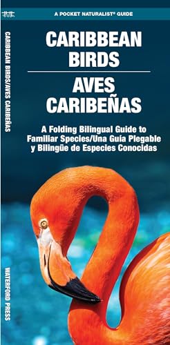 Beispielbild fr Caribbean Birds/Aves Caribenas zum Verkauf von Blackwell's