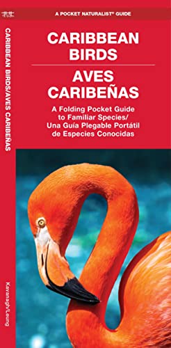 9781620055502: Caribbean Birds/Aves Caribenas: A Folding Pocket Guide to Familiar Species/Una Guia Plegable Portatil de Especies Conocidas (Pocket Naturalist Guide)