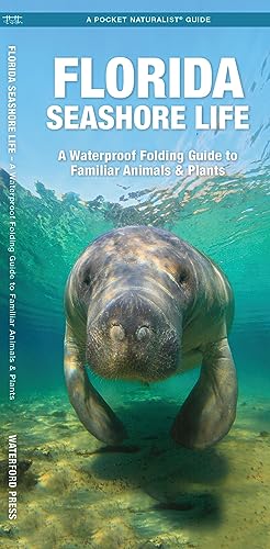 9781620055564: Florida Seashore Life: A Waterproof Folding Guide to Familiar Animals & Plants (Pocket Naturalist Guide)