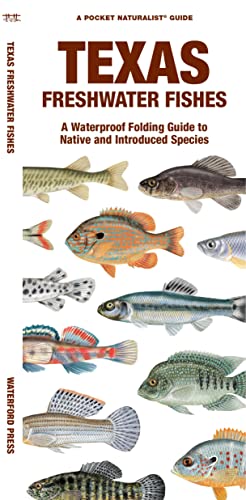 Imagen de archivo de Texas Freshwater Fishes : A Waterproof Folding Guide to Native and Introduced Species a la venta por GreatBookPrices