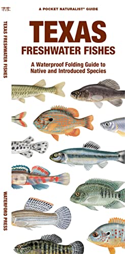 Stock image for Texas Freshwater Fishes : A Waterproof Folding Guide to Native and Introduced Species for sale by GreatBookPrices