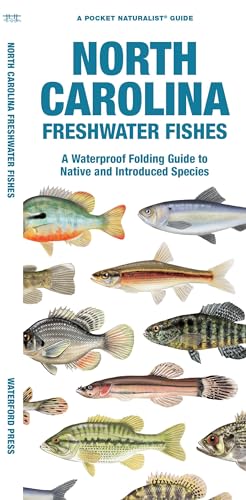 Beispielbild fr North Carolina Freshwater Fishes : A Waterproof Folding Guide to Native and Introduced Species zum Verkauf von GreatBookPrices