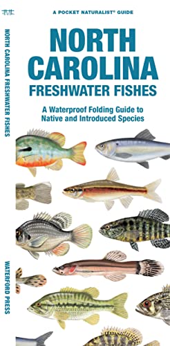 9781620055595: North Carolina Freshwater Fishes: A Waterproof Folding Guide to Native and Introduced Species
