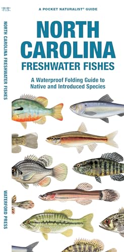 Stock image for North Carolina Freshwater Fishes: A Waterproof Folding Guide to Native and Introduced Species (Pocket Naturalist Guide) for sale by SecondSale