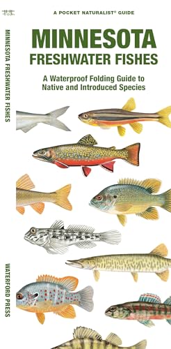 Stock image for Minnesota Freshwater Fishes: A Waterproof Folding Guide to Native and Introduced Species (Pocket Naturalist Guide) for sale by SecondSale