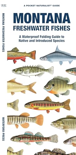Imagen de archivo de Montana Freshwater Fishes: A Waterproof Folding Guide to Native and Introduced Species (Pocket Naturalist Guide) [Pamphlet] Morris, Matthew; Waterford Press and Leung, Raymond a la venta por Lakeside Books