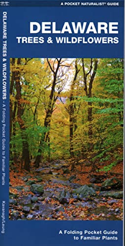 Beispielbild fr Delaware Trees & Wildflowers: A Folding Pocket Guide to Familiar Species zum Verkauf von Buchpark