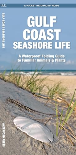 Beispielbild fr Gulf Coast Seashore Life zum Verkauf von Blackwell's