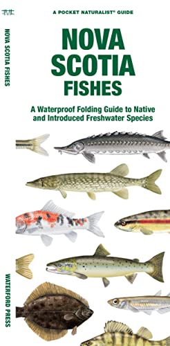 9781620056080: Nova Scotia Fishes: A Waterproof Folding Guide to Native and Introduced Freshwater Species (Pocket Naturalist Guide)