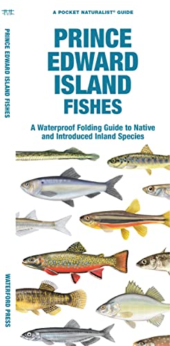 Beispielbild fr Prince Edward Island Fishes: A Waterproof Folding Guide to Native and Introduced Freshwater Species (Pocket Naturalist Guide) [Pamphlet] Matthew Morris; Waterford Press and Raymond Leung zum Verkauf von Lakeside Books