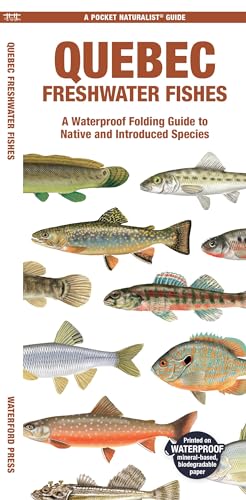 Beispielbild fr Quebec Fishes: A Waterproof Folding Guide to Native and Introduced Species (A Pocket Naturalist Guide) [Pamphlet] Waterford Press zum Verkauf von Lakeside Books