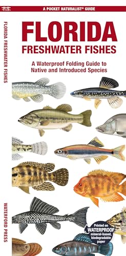 Stock image for Florida Freshwater Fishes : A Waterproof Folding Guide to Native and Introduced Species for sale by GreatBookPrices