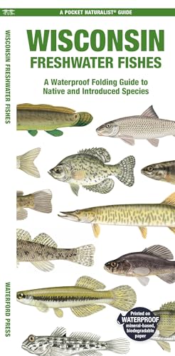 Imagen de archivo de Wisconsin Freshwater Fishes : A Waterproof Folding Guide to Native and Introduced Species a la venta por GreatBookPrices