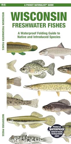 Stock image for Wisconsin Freshwater Fishes: A Waterproof Folding Guide to Native and Introduced Species (A Pocket Naturalist Guide) [Pamphlet] Waterford Press for sale by Lakeside Books