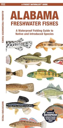 Beispielbild fr Alabama Freshwater Fishes: A Waterproof Folding Guide to Native and Introduced Species (Pocket Naturalist Guides) [Pamphlet] Waterford Press zum Verkauf von Lakeside Books