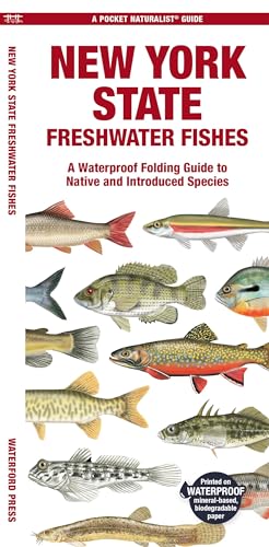 Stock image for New York State Freshwater Fishes: A Waterproof Folding Guide to Native and Introduced Species (Pocket Naturalist Guides) for sale by Ebooksweb