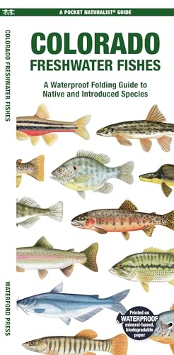 Imagen de archivo de Colorado Freshwater Fishes : A Waterproof Folding Guide to Native and Introduced Species a la venta por GreatBookPrices