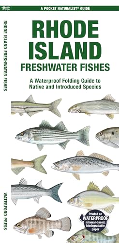 Stock image for Rhode Island Freshwater Fishes: A Waterproof Folding Guide to Native and Introduced Species (Pocket Naturalist Guides) for sale by Ebooksweb
