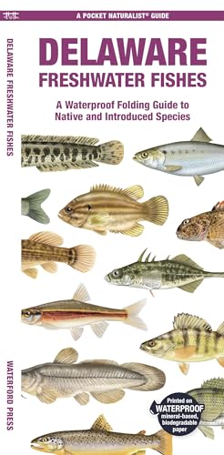 Stock image for Delaware Freshwater Fishes: A Waterproof Folding Guide to Native and Introduced Species (Pocket Naturalist Guide) for sale by Ebooksweb