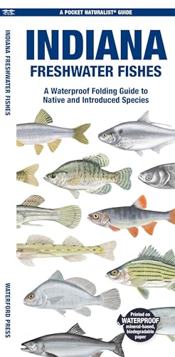 Stock image for Indiana Freshwater Fishes: A Waterproof Folding Guide to Native and Introduced Species (Pocket Naturalist Guide) for sale by Books Unplugged