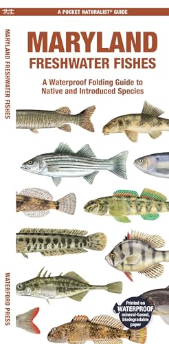 Stock image for Maryland Freshwater Fishes : A Waterproof Folding Guide to Native and Introduced Species for sale by GreatBookPrices