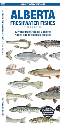 9781620057087: Alberta Freshwater Fishes: A Waterproof Folding Guide to All Known Native and Introduced Species
