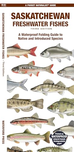 Stock image for Saskatchewan Freshwater Fishes: A Waterproof Folding Guide to Native and Introduced Species (Pocket Naturalist Guide) for sale by GF Books, Inc.