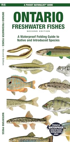 Beispielbild fr Ontario Fishes : A Folding Guide to All Known Native and Introduced Freshwater Species zum Verkauf von GreatBookPrices