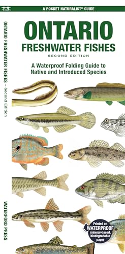 Stock image for Ontario Fishes : A Folding Guide to All Known Native and Introduced Freshwater Species for sale by GreatBookPrices