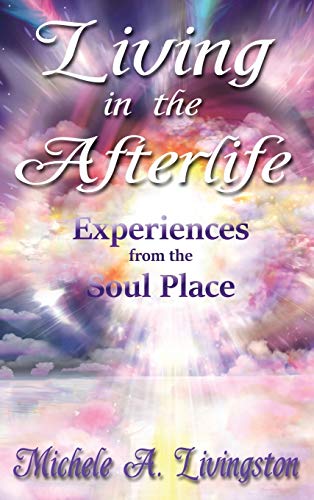 Beispielbild fr Living in the Afterlife - Experiences from the Soul Place zum Verkauf von NWJbooks