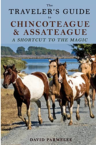 Imagen de archivo de The Traveler's Guide To Chincoteague And Assateague a la venta por GreatBookPrices