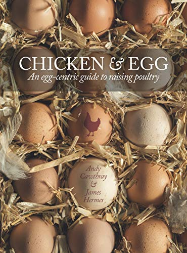 9781620081501: Chicken and Egg: Raising Chickens to Get the Eggs You Want