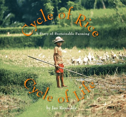 Stock image for Cycle of Rice, Cycle of Life: A Story of Sustainable Farming for sale by SecondSale