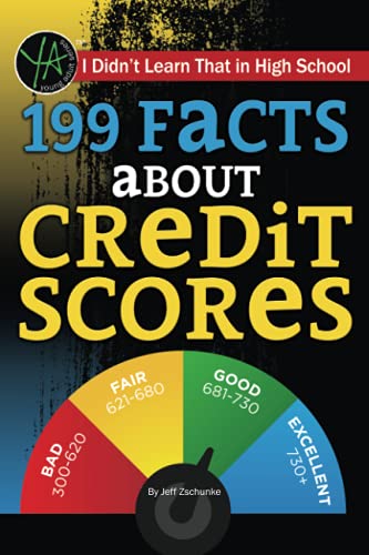Beispielbild fr I Didn't Learn That in High School 199 Facts About Credit Scores (Young Adult) zum Verkauf von SecondSale