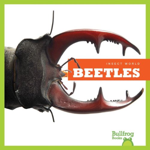 Stock image for Beetles for sale by Better World Books