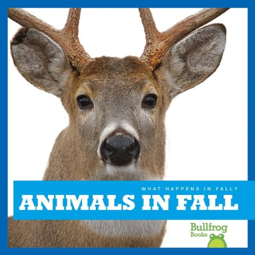 9781620310564: Animals in Fall (What Happens in Fall?)