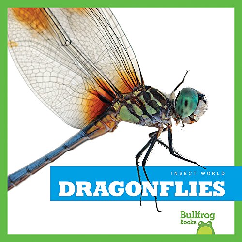 Imagen de archivo de Dragonflies a la venta por Better World Books