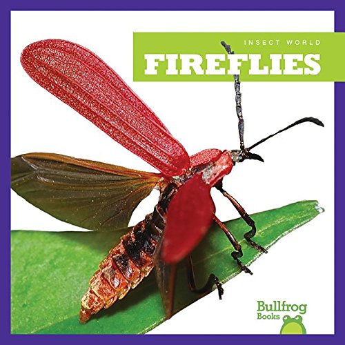 Imagen de archivo de Fireflies a la venta por ThriftBooks-Atlanta