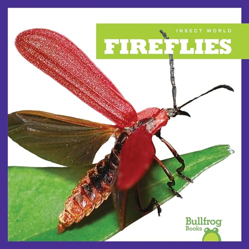9781620310847: Fireflies (Insect World)