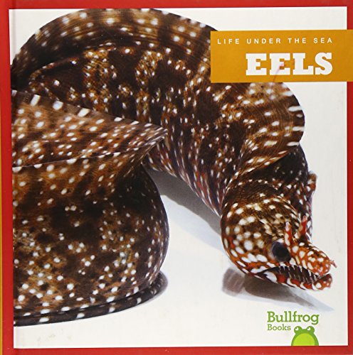 Stock image for Eels for sale by ThriftBooks-Dallas